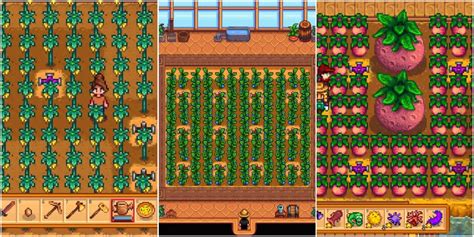 best crops greenhouse stardew|most profitable greenhouse crops stardew.